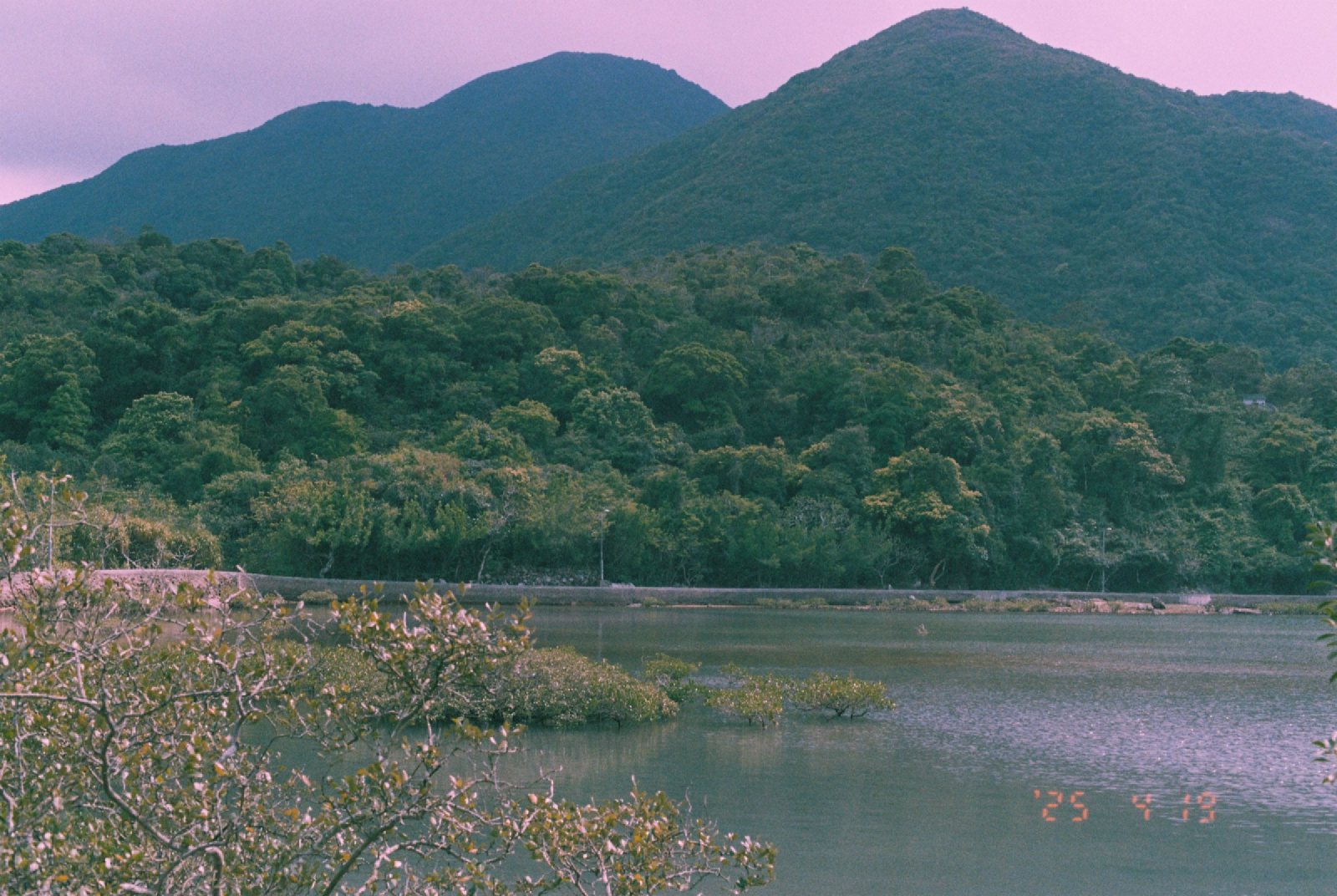岸边的灌木和水,后面是两座山峰