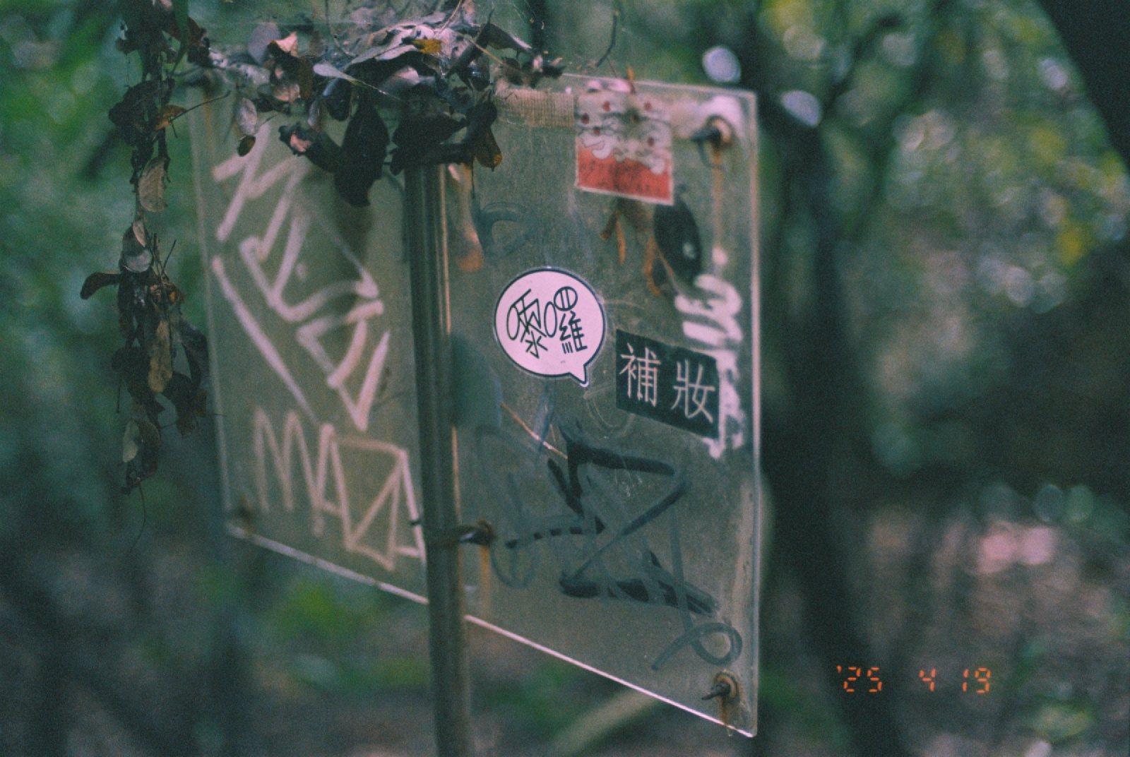 树林里一块贴满贴纸、被涂鸦的牌子
