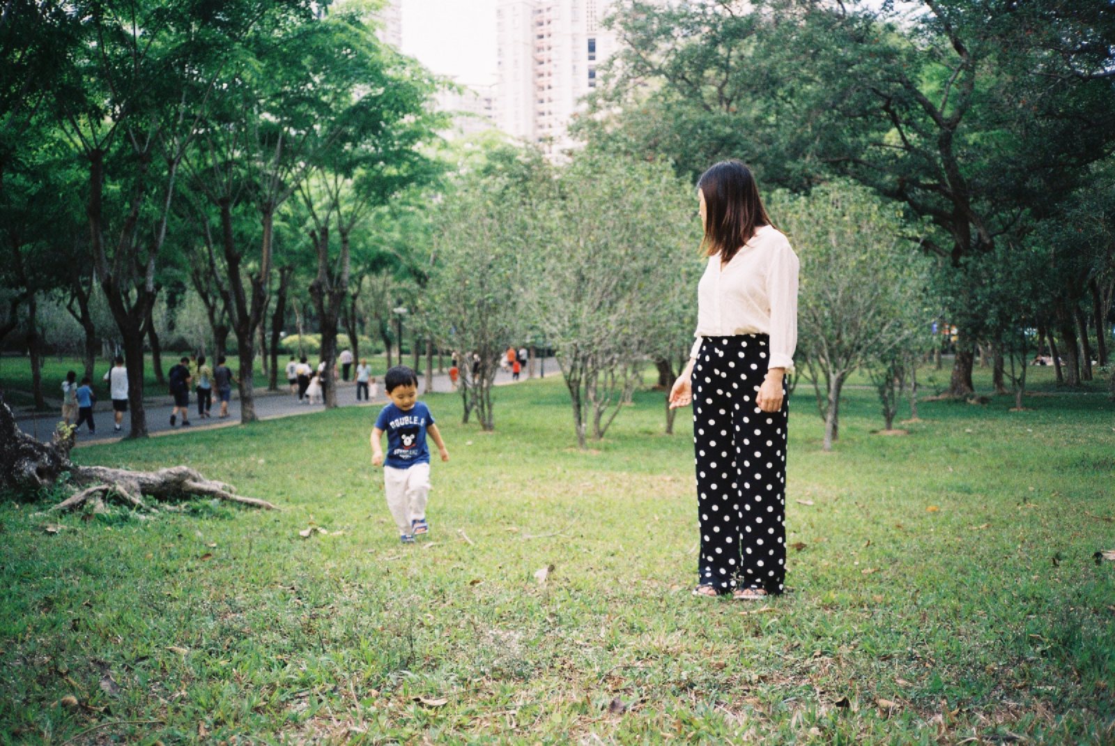 草地上妈妈站着，儿子朝她走来