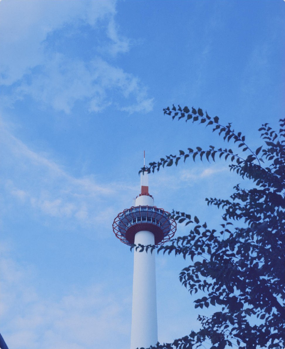 塔和树枝，蓝天