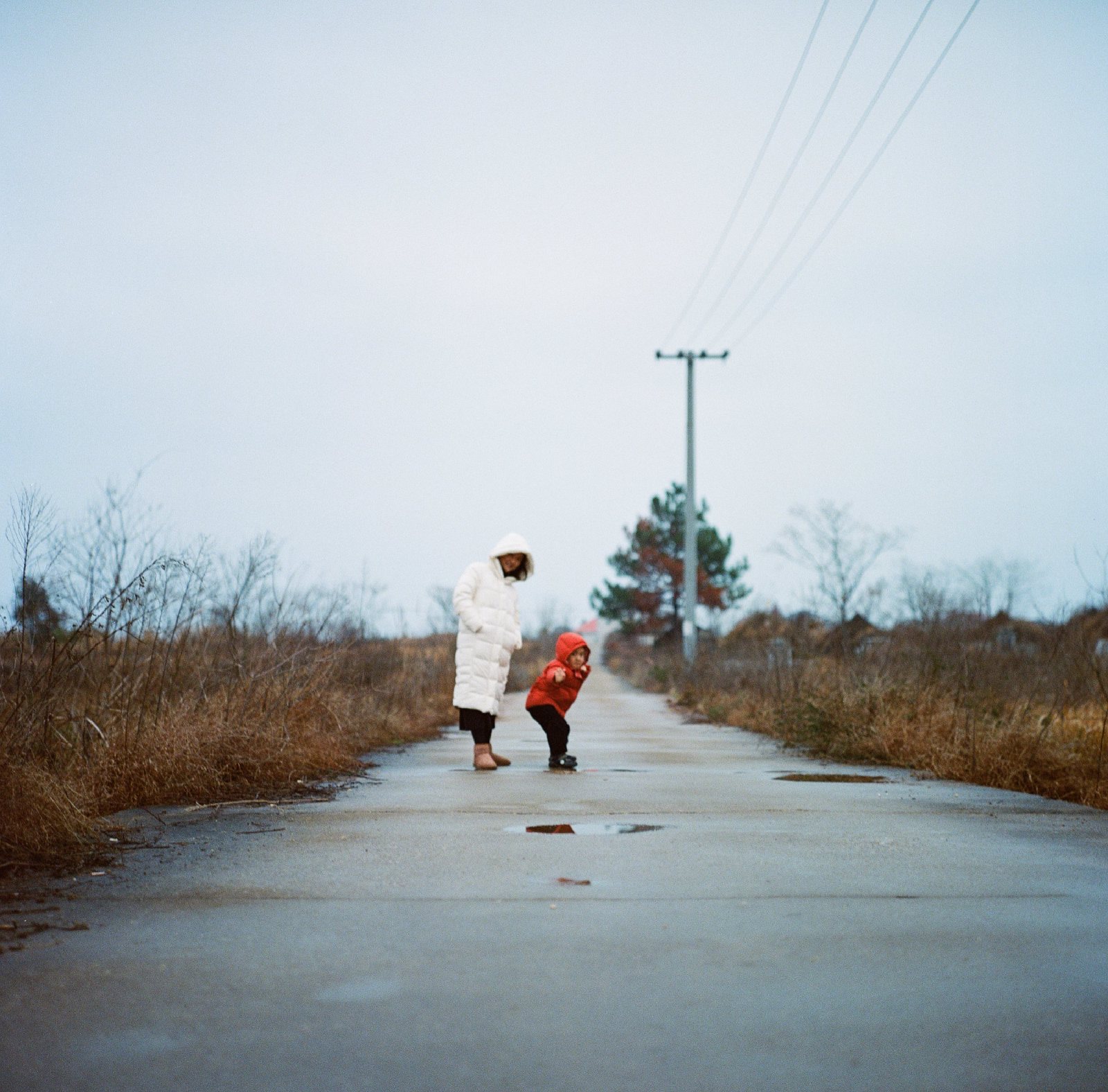 Lomo 800,阴天的乡间水泥路,妈妈和儿子远远地玩